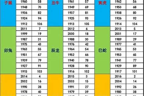 2020年五行属什么